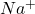 Na^+