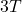 3T