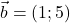 \vec{b} = (1; 5)