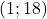 (1; 18)