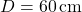 D = 60 \, \text{cm}