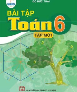 Lời giải Sách bài tập Toán lớp 6 tập 1 Cánh diều