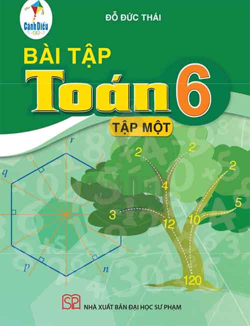 Lời giải Sách bài tập Toán lớp 6 tập 1 Cánh diều