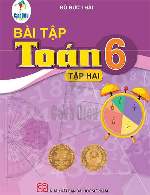 Lời giải Sách bài tập Toán lớp 6 tập 2 Cánh diều