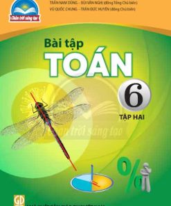 Lời giải Sách bài tập Toán lớp 6 tập 2 Chân trời sáng tạo