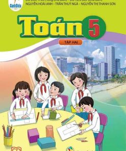 Lời giải Sách giáo khoa Toán lớp 5 tập 2 Cánh diều