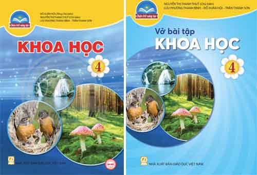 Lời giải Sách giáo khoa và Vở bài tập Khoa học lớp 4 Chân trời sáng tạo