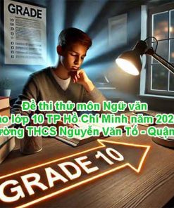 Đề thi thử môn Ngữ văn vào lớp 10 TP Hồ Chí Minh năm 2025 – Trường THCS Nguyễn Văn Tố - Quận 10