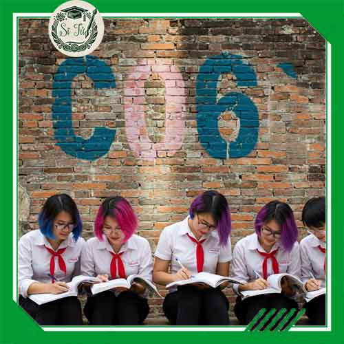 C06 gồm những môn nào? Thi ngành nào? Xét trường gì?
