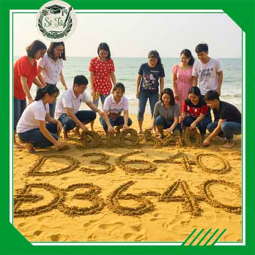 Các tổ hợp D36 - D37 - D38 - D39 - D40 gồm những môn nào? Thi ngành nào? Học trường gì?