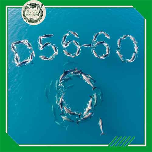 Các tổ hợp D56 - D57 - D58 - D59 - D60 gồm những môn nào? Thi ngành nào? Học trường gì?