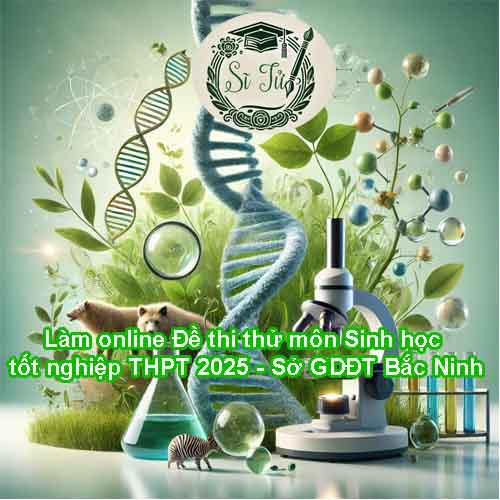 Luyện online Đề thi thử môn Sinh học tốt nghiệp THPT 2026 - Sở GDĐT Bắc Ninh