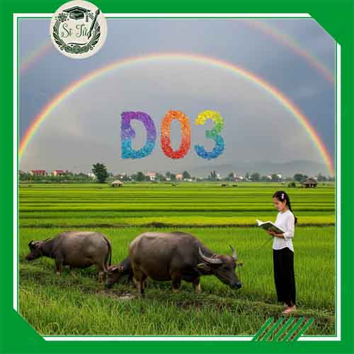 Tổ hợp khối D03 gồm những môn nào? Thi ngành gì? Học trường nào?
