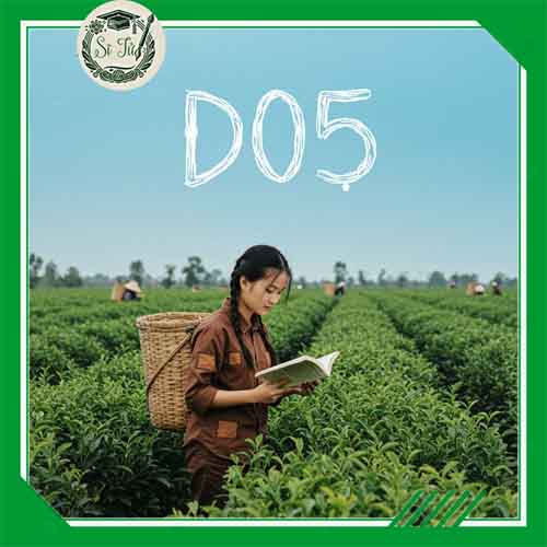 Tổ hợp khối D05 gồm những môn nào? Thi ngành nào? Học trường gì?