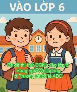 Bộ đề thi thử ĐGNL vào lớp 6 Song ngữ Wellspring & Trường Quốc tế ABC