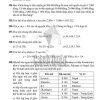 Giải Bài 128 tới bài 140 Bài tập cuối chương I (trang 37-38) SBT Toán lớp 6 Cánh diều tập 1