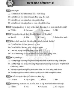 Giải Bài 13 (Trang 35-37) SBT Khoa học tự nhiên lớp 6 Cánh diều Từ tế bào đến cơ thể