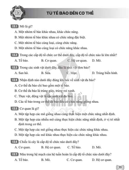 Giải Bài 13 (Trang 35-37) SBT Khoa học tự nhiên lớp 6 Cánh diều Từ tế bào đến cơ thể