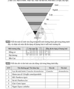 Giải Bài 14 (Trang 37-39) SBT Khoa học tự nhiên lớp 6 Cánh diều Phân loại thế giới sống