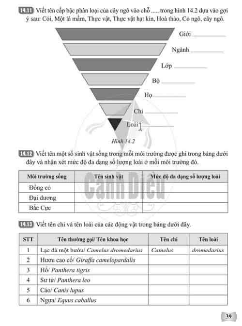 Giải Bài 14 (Trang 37-39) SBT Khoa học tự nhiên lớp 6 Cánh diều Phân loại thế giới sống