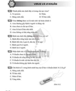 Giải Bài 16 (Trang 42-44) SBT Khoa học tự nhiên lớp 6 Cánh diều: Virus và vi khuẩn