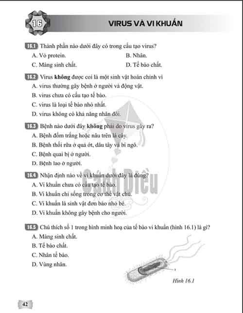 Giải Bài 16 (Trang 42-44) SBT Khoa học tự nhiên lớp 6 Cánh diều: Virus và vi khuẩn