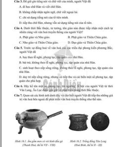 Giải Bài 16 từ Câu 1 tới câu 7 (trang 31-33) SBT Lịch sử và Địa lí lớp 6 Cánh diều Phần Lịch sử
