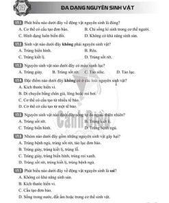 Giải Bài 17 (Trang 45-46) SBT Khoa học tự nhiên lớp 6 Cánh diều: Đa dạng nguyên sinh vật