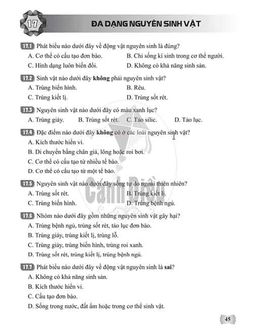 Giải Bài 17 (Trang 45-46) SBT Khoa học tự nhiên lớp 6 Cánh diều: Đa dạng nguyên sinh vật