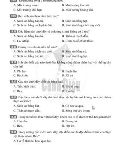 Giải Bài 19 (Trang 48-52) SBT Khoa học tự nhiên lớp 6 Cánh diều: Đa dạng thực vật