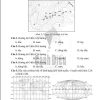 Giải Bài 2 từ Câu 1 tới câu 10 (trang 50-52) SBT Lịch sử và Địa lí lớp 6 Cánh diều Phần Địa lí