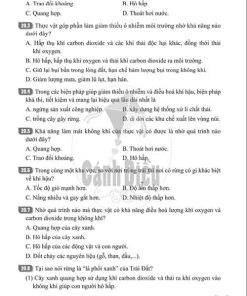 Giải Bài 20 (Trang 52-55) SBT Khoa học tự nhiên lớp 6 Cánh diều: Vai trò của thực vật trong đời sống và trong tự nhiên