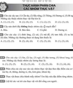 Giải Bài 21 (Trang 55-56) SBT Khoa học tự nhiên lớp 6 Cánh diều: Thực hành phân chia các nhóm thực vật
