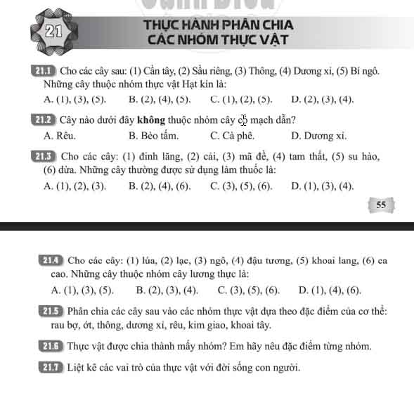 Giải Bài 21 (Trang 55-56) SBT Khoa học tự nhiên lớp 6 Cánh diều: Thực hành phân chia các nhóm thực vật
