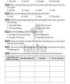 Giải Bài 22 (Trang 56-61) SBT Khoa học tự nhiên lớp 6 Cánh diều: Đa dạng động vật không xương sống