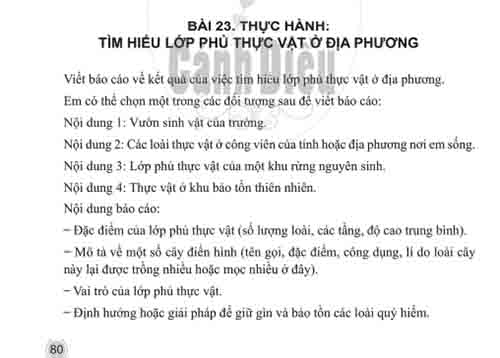 Giải Bài 23 (trang 80) SBT Lịch sử và Địa lí lớp 6 Cánh diều Phần Địa lí