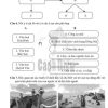 Giải Bài 4 từ Câu 1 tới câu 7 (trang 9-10) SBT Lịch sử và Địa lí lớp 6 Cánh diều Phần Lịch sử