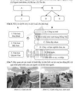Giải Bài 4 từ Câu 1 tới câu 7 (trang 9-10) SBT Lịch sử và Địa lí lớp 6 Cánh diều Phần Lịch sử