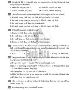 Giải Bài 5 (Trang 13-15) SBT Khoa học tự nhiên lớp 6 Cánh diều Sự đa dạng của chất