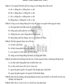 Giải Bài 5 từ Câu 1 tới câu 7 (trang 11-12) SBT Lịch sử và Địa lí lớp 6 Cánh diều Phần Lịch sử
