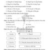 Giải Bài 7 từ Câu 1 tới câu 7 (trang 15-16) SBT Lịch sử và Địa lí lớp 6 Cánh diều Phần Lịch sử
