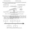 Giải Bài 8 từ Câu 1 tới câu 8 (trang 16-18) SBT Lịch sử và Địa lí lớp 6 Cánh diều Phần Lịch sử