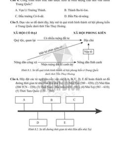 Giải Bài 8 từ Câu 1 tới câu 8 (trang 16-18) SBT Lịch sử và Địa lí lớp 6 Cánh diều Phần Lịch sử