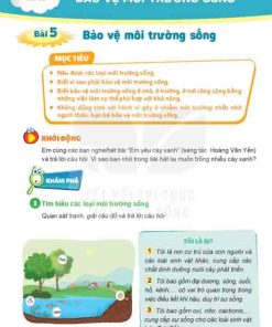 Giải SGK Đạo đức lớp 5 Kết nối tri thức Bài 5: Bảo vệ môi trường sống (Trang 31-39)