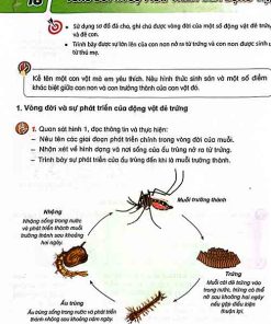Giải SGK Khoa học lớp 5 Kết nối tri thức Bài 16 Vòng đời và sự phát triển của động vật (trang 60-63)