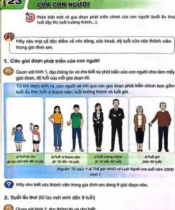 Giải SGK Khoa học lớp 5 Kết nối tri thức Bài 23 Các giai đoạn phát triển chính của con người (trang 81-84)