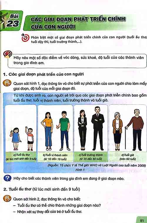 Giải SGK Khoa học lớp 5 Kết nối tri thức Bài 23 Các giai đoạn phát triển chính của con người (trang 81-84)