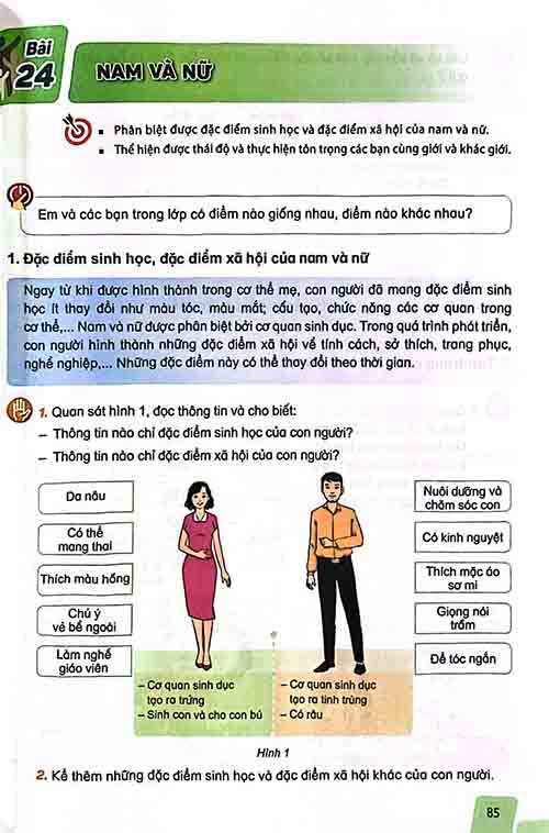 Giải SGK Khoa học lớp 5 Kết nối tri thức Bài 24 Nam và Nữ (trang 85-87)