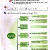 Giải SGK Khoa học lớp 5 Kết nối tri thức Bài 27 Ôn tập chủ đề con người và sức khỏe (trang 98-99)