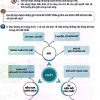 Giải SGK Khoa học lớp 5 Kết nối tri thức Bài 6 Ôn tập chủ đề chất (trang 25-26)